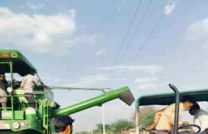 सरकारी भूमि में वोई गई फसल जब्त बिक्री राजस्व में जमा कराई गई