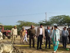 डीएम ने प्रशासनिक अमले के साथ गौ-आश्रय स्थल का निरीक्षण कर परखी व्यवस्थाएं