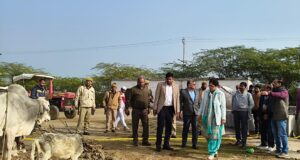 डीएम ने प्रशासनिक अमले के साथ गौ-आश्रय स्थल का निरीक्षण कर परखी व्यवस्थाएं